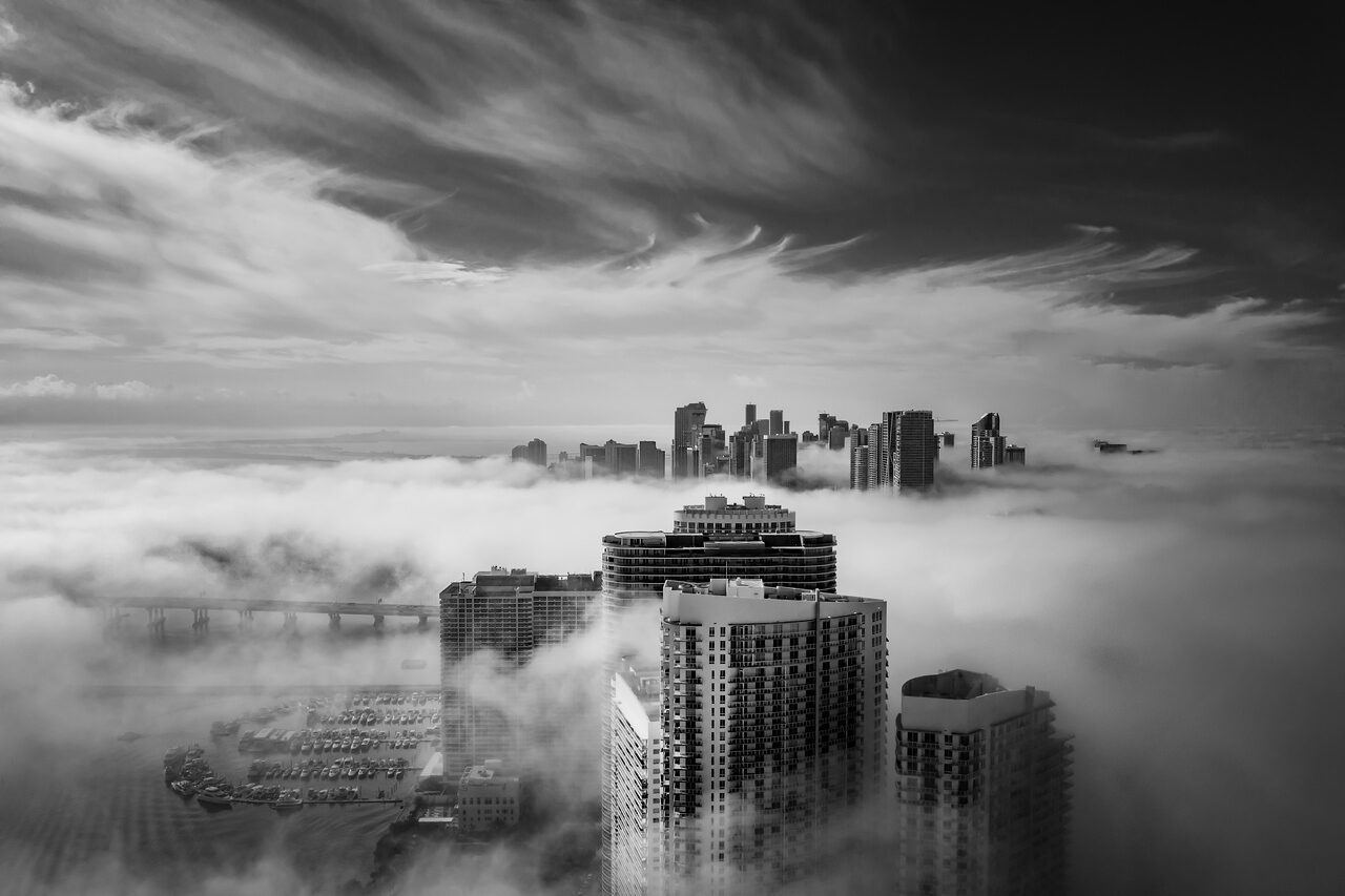 Miami Fog